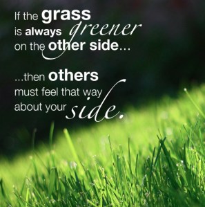 Always-green-1024x701